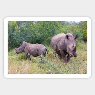 Rhino mother and baby foraging Sticker